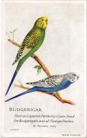 Budgerigar. Feed on Capern&#039;s Perfectly Clean Seed for Budgerigars and all Foreign Finches. Capern&#039;s Perfectly Clean Bird Foods advertisement (non PC)