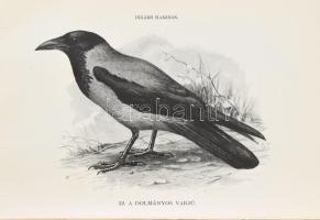 Herman Ottó: A madarak hasznáról és káráról. Darányi Ignácz m. kir. földmivelésügyi minister megbizá...