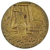 Kóbor Sándor 1980. "A 200 éves Komárom megyei szénbányászat emlékére 1780-1980 / Vértessomló&qu...