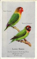 Love Birds. Feed on Capern&#039;s Perfectly Clean Budgerigar Seed advertisement (non PC) (EK)