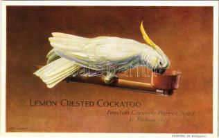 Lemon Crested Cockatoo. Feed on Capern&#039;s Parrot Food advertisement (non PC) (fl)