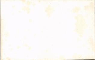 Lemon Crested Cockatoo. Feed on Capern's Parrot Food advertisement (non PC) (fl)