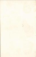 Red and Blue Macaw. Feed on Capern's Parrot Food advertisement (non PC) (fl)