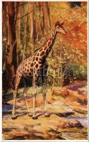 Giraffe. From Jennison&#039;s &quot;Natural History - Animals&quot; Series No. 82. s: Edgar H. Fisher