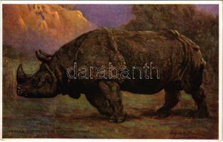 Indian Rhinoceros. From Jennison&#039;s &quot;Natural History - Animals&quot; Series No. 83. s: Edgar H. Fisher