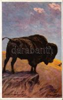 Bison. From Jennison&#039;s &quot;Natural History - Animals&quot; Series No. 83. s: Edgar H. Fisher (EK)