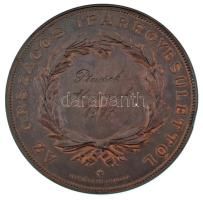 Anton Scharff (1845-1930) 1897. "Az Országos Iparegyesülettől - Ptacsek Alajosnak 1897" br...