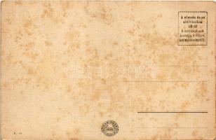 Balaton, vitorlás. Gyorslevelező üdvözlőlap (fl)