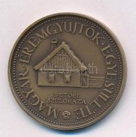 Lapis András (1942-) 1981. "10 éves a Kiskőrösi Csoport / Petőfi szülőháza" kétoldalas bro...