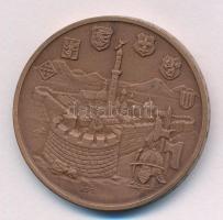 Képíró Zoltán (1944-1981) 1973. "Kaposvár Centenáriuma" kétoldalas bronz emlékérem (42,5mm...