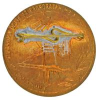 ~1960. "A BM. Határőrség és Belső Karhatalom Kultúrversenye" zománcozott jelvény (40mm) T:...