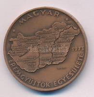 Csucs Viktória (1934-1993) 1973. "MÉE Budapest - Magyarország" kétoldalas bronz tagsági emlékérem (42,5mm) T:AU  Adamo BP5