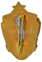 ~1950. "Határőr kultúrverseny" aranyozott, zománcozott bronz jelvény T:AU