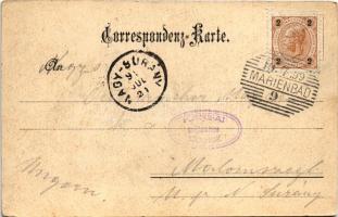 1899 (Vorläufer) Mariánské Lázne, Marienbad; Café-Restaurant Alm im Winter / café and restaurant in ...