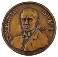 DN "Dr. Szentpáli István 1861-1924 / A jó tanulásért" kétoldalas, öntött bronz plakett (91mm) T:XF kis patina