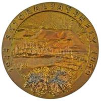 1969. "Sátoraljaújhely 1944-1969" egyoldalas, öntött bronz plakett (105mm) T:AU