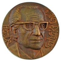 Váró Márton (1943- ) DN &quot;Prof. Dr. Szeleczky Gyula&quot; kétoldalas, öntött bronz plakett (92mm) T:AU,XF