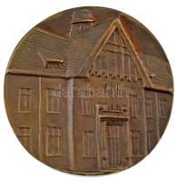 Váró Márton (1943- ) DN "Prof. Dr. Szeleczky Gyula" kétoldalas, öntött bronz plakett (92mm...