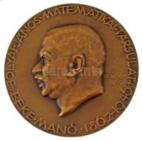 Reményi József (1887-1977) 1969. "Bolyai János Matematikai Társulat / Beke Manó Díj" kétoldalas bronz emlékérem (60mm) T:AU,XF / Hungary 1969. "Bolyai János Matematikai Társulat / Beke Manó Díj" double-sided bronze commemorative medallion (60mm) C:AU,XF