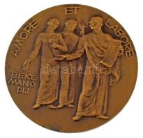 Reményi József (1887-1977) 1969. "Bolyai János Matematikai Társulat / Beke Manó Díj" kétol...