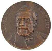 Kozma Erzsébet (1879-1973) 1908. "Finály Henrik" aranyozott bronz emlékérem. "HENRICVS FINÁLY DE KEND 1825-1898 / MEMORIAE DVLCEDINE CAPTI FILII MDCCCCVIII" (60mm) T:AU lekopott aranyozás, patina HP 6401.