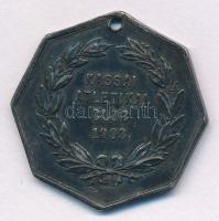 1903. &quot;Kassai Atletikai Club 1903 / Ép ész edzett testben él&quot; jelzett Ag sport emlékérem, &quot;SGA&quot; gyártói és fémjellel (21,39g/0.800/40mm) T:AU,XF fülhiány, ly.