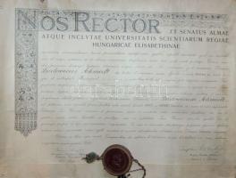 1943 Erzsébet kir. Tudományegyetem jogi doktori oklevél + német birodalmi honosítási okirat