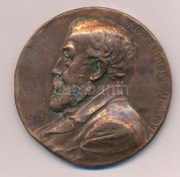 Anton Scharff (1845-1930) 1897. "Szilágyi Sándor történész, az MTA rendes tagja születésének 70. évfordulójára" bronz emlékérem "ALEXANDER SZILÁGYI - AET. LXX / RERVM. HVNGARICARVM. AC. TRANSSYLVANICARVM. INDAGATORI. INDEFESSO. 1897 - K.B. - BÁTHORY BETHLEN RÁKÓCZY" (57mm) T:XF,VF ph, patina Hauser: 7914.