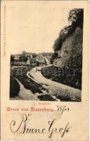 1900 Ryzmburk, Riesenburg (Zernov); Burgruine / castle ruins (fl)