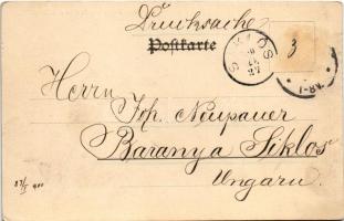 1900 Ryzmburk, Riesenburg (Zernov); Burgruine / castle ruins (fl)