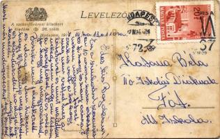 1917 Budapest XIV. Állatkert, Chapmann zebrák. A székesfővárosi állatkert kiadása 28. sz. (ázott / w...