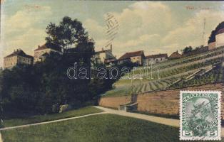 Opocno Yvona wineyard and castle (EK)