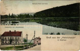 Dehylov, Dielhau; Gruss aus der Heinrichsruh. Dielhauer Wald und Teich, Restauration zur Heinrichsruh / forest and lake, restaurant, railway station (Rb)