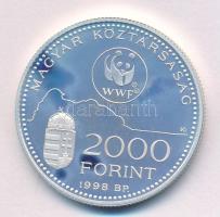 1998. 2000Ft Ag "WWF - Óvd a természetet" T:UNC (eredetileg PP)
Adamo EM154