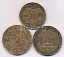 Csucs Viktória (1934-1993) 1979. "Magyar Éremgyűjtők Egyesülete 1969-1979" kétoldalas bron...