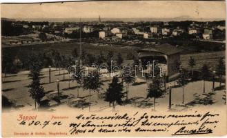 1902 Sopot, Zoppot; Panorama / general view (cut)