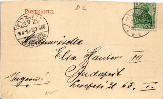 1902 Sopot, Zoppot; Panorama / general view (cut)