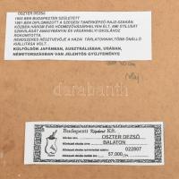 Oszter Dezső (1955-): Balaton. Olaj, farost, jelzett, fa keretben, hátoldalán autográf címkével. Ele...