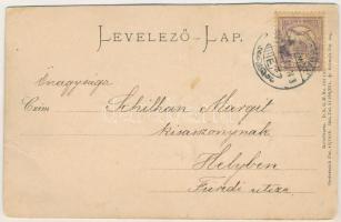 1900 Blaha Lujza és Lányi Géza. Strelisky cs. és kir. udvari fényképész felvétele. Emb. (kis szakadá...