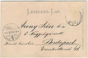 1900 Blaha Lujza és Vidor Pál. Strelisky cs. és kir. udvari fényképész felvétele. Emb. (ázott / wet ...