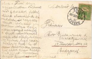 1907 Dálya, Dalja, Dalj (Erdőd, Erdut); Gőzkomp Gombos és Erdőd között a szabad Dunán / Dampffähre z...