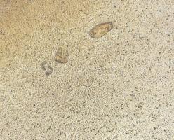 Ezüst(Ag) cigarettatárca, jelzett, gombnál kisebb sérüléssel, 8×5 cm, nettó: 50,8 g