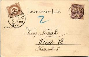 1900 Bozovics, Bozovici; Hauptstrasse / Fő utca, Magyari Albert, Standilovits üzlete / main street, ...