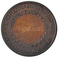 1987. "Agrokomplex Agárd Central Soya Kooperáció - 1987. augusztus 19." kétoldalas bronz p...
