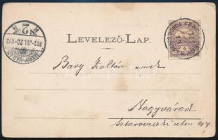 1901 Bary József (1858-1915), a tiszaeszlári vérvádper vizsgálóbírója, kúriai bíró autográf sorai Ba...