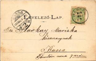 1906 Bártfafürdő, Bardejovské Kúpele, Bardiov, Bardejov; Erzsébet királyné (Sissi) szobor. Divald Ad...