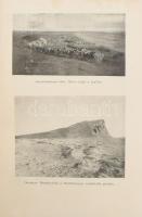 [Agostini, Alberto Maria de (1883-1960)] Alberto M. De Agostini: Tíz esztendő a Tűzföldön. Fordított...