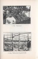 Borászati zsebnaptár az 1937. évre. Szerkeszti: Baross Endre. Harmincnyolcadik évfolyam.
Budapest, ...