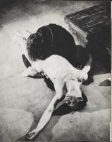 Burzynski, Tadeusz - Osinski, Zbigniew: Das Theater Laboratorium Grotowskis. Warszawa, Verlag Interp...