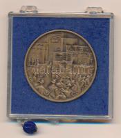 1979. "A Magyar Tanácsköztársaság 60. évfordulója emlékére 1919-1979" bronz emlékérem sérü...